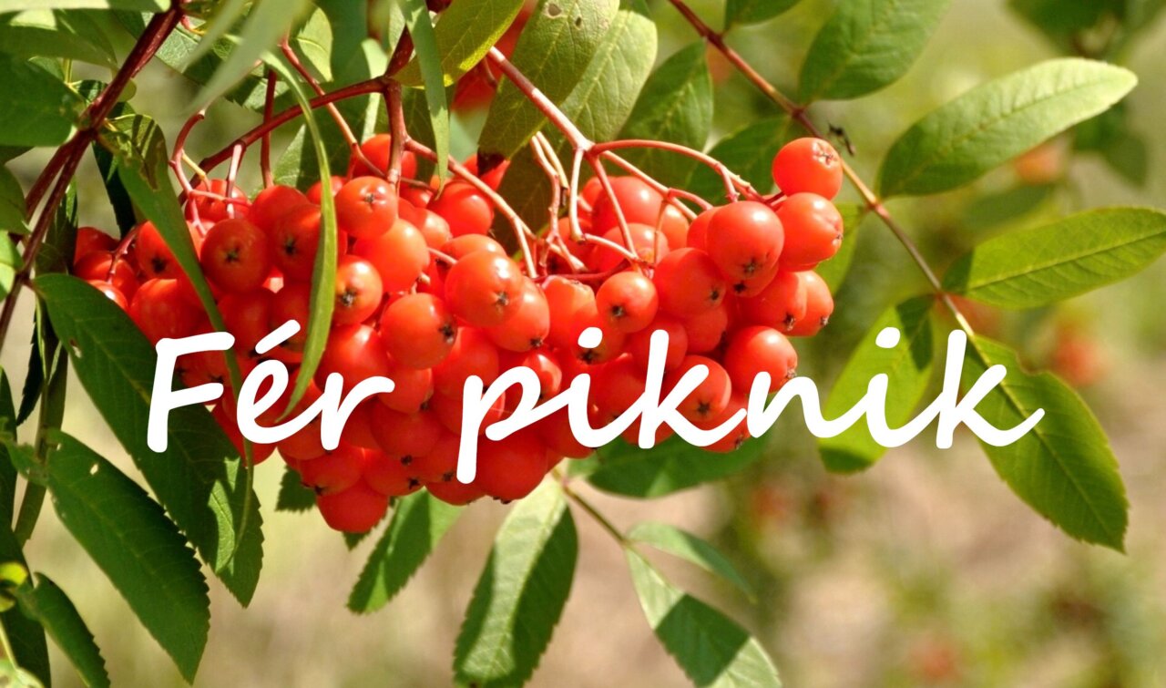 Fér piknik 2017 na WEB