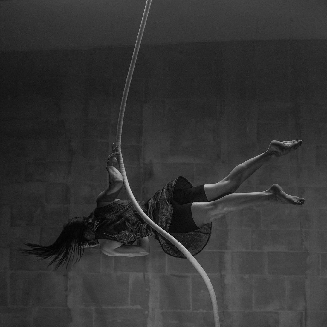 Vlez v&nbsp;les – nový cirkus
