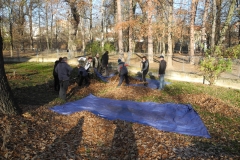 listopad 2018, foto: Kinoklub Ostrov