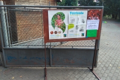foto: Kinoklub Ostrov